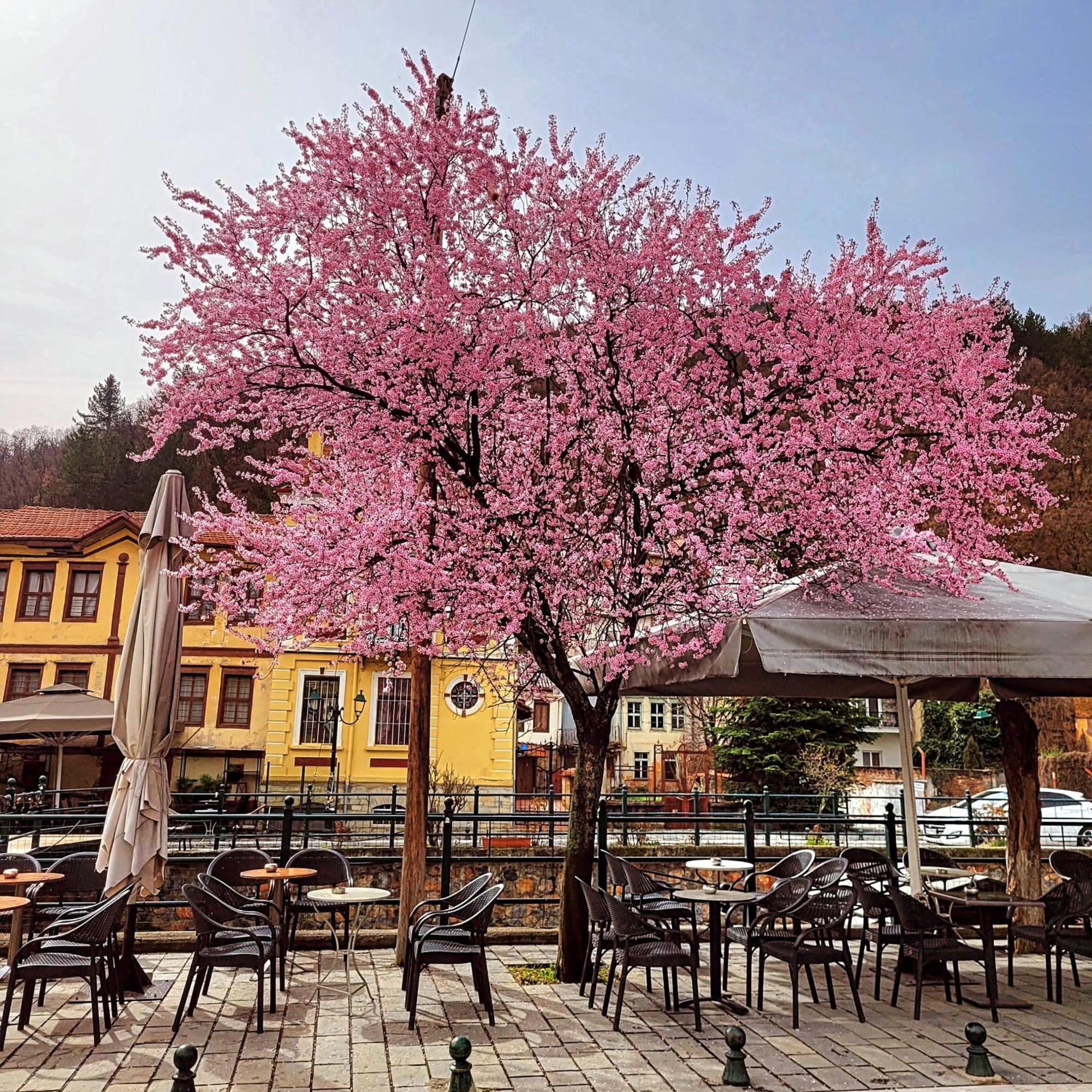 Center River Apartment Florina Zewnętrze zdjęcie
